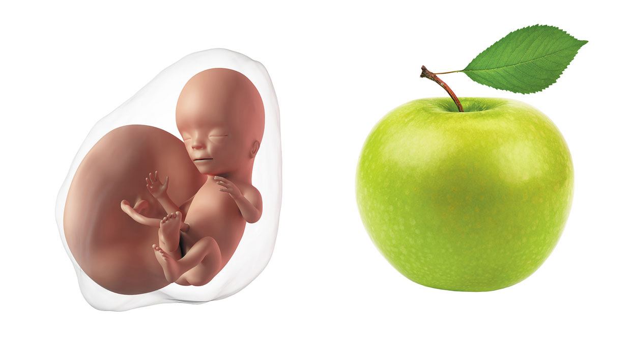 Due Date Calculator How Many Weeks Am I Pregnant Due Date Calculator How Many Weeks Am I Pregnant